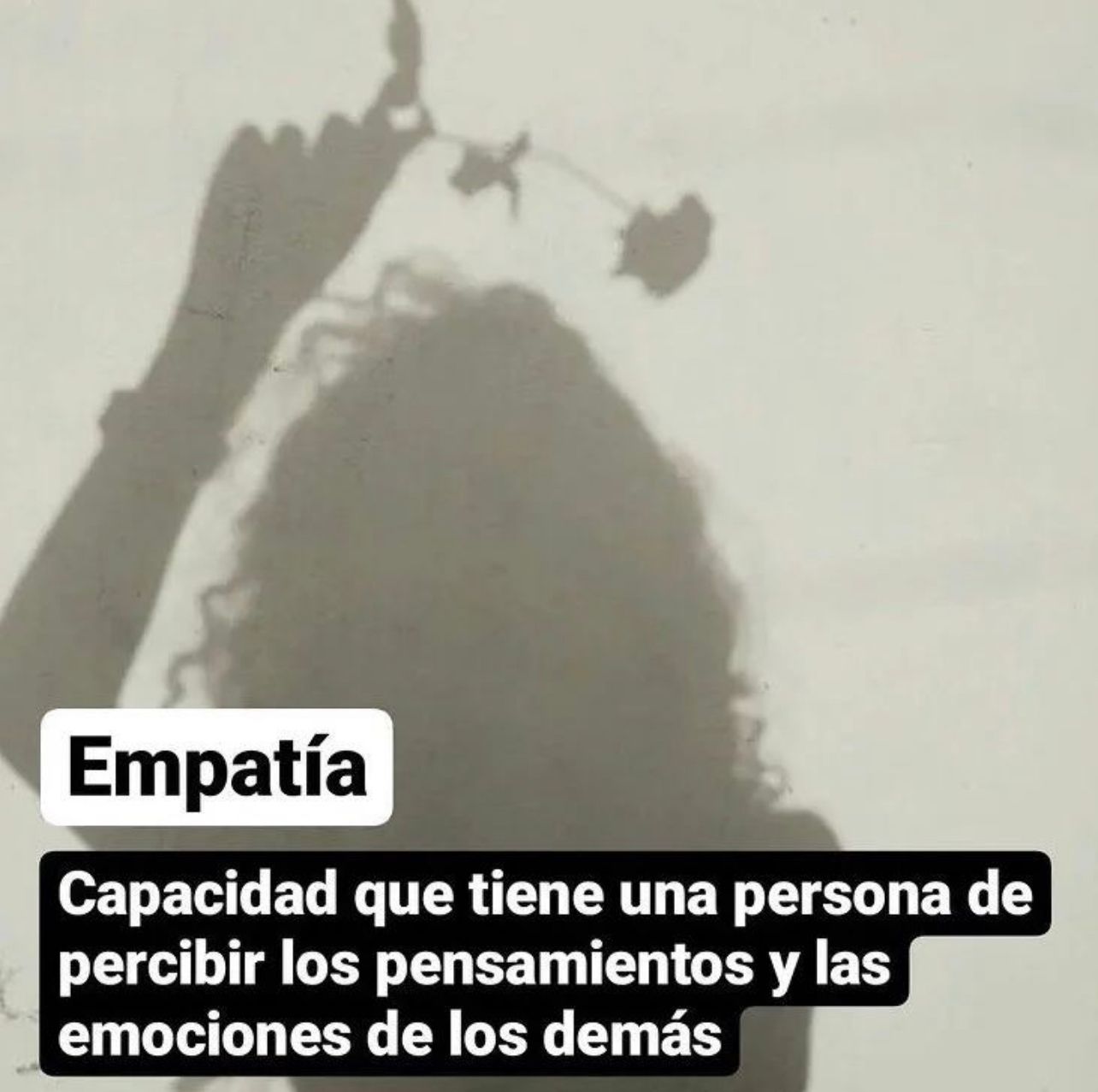 Caricatura
