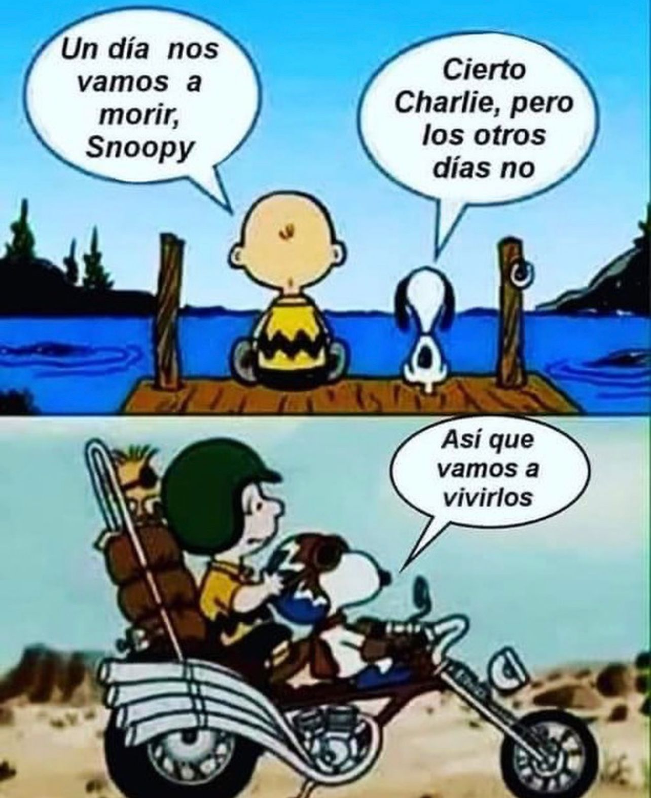Caricatura
