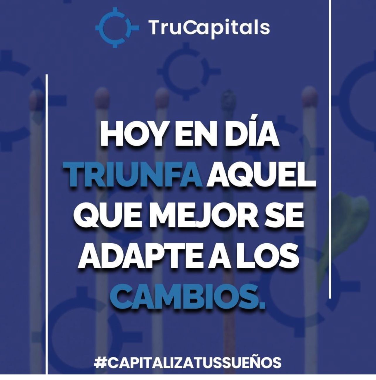 Caricatura