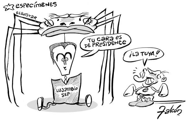 Caricatura