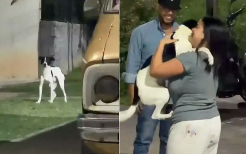 Reencuentro entre mujer y su perro da esperanza tras terremotos en Venezuela