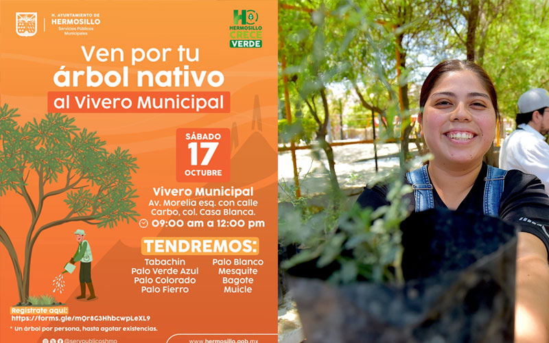 Hermosillo entregará árboles nativos gratis este sábado