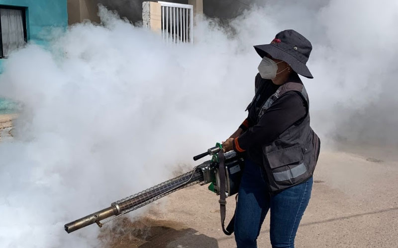 Refuerza Salud Sonora acciones para prevenir y controlar el dengue
