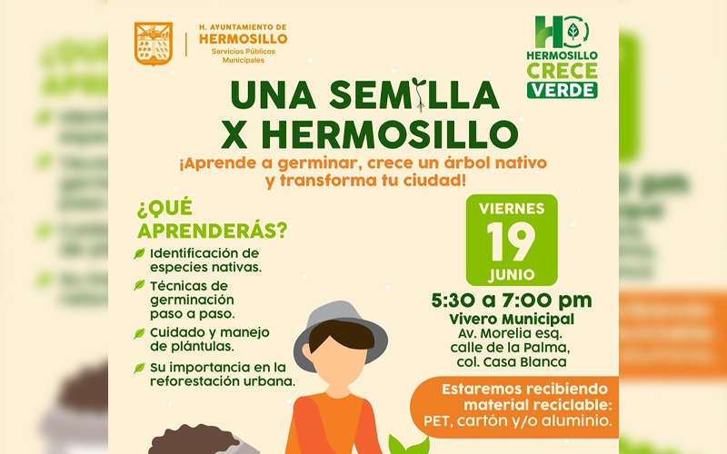 Invitan a taller gratuito para aprender a germinar árboles nativos