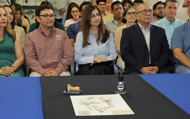 Herbario de la Unison celebra 30 años con registro de su ejemplar número 35 mil