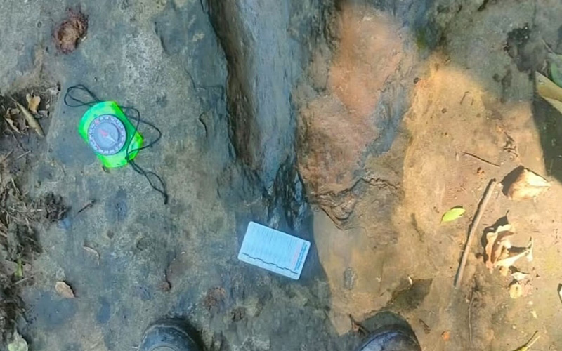 INAH descubre al menos 50 huellas fosilizadas de dinosaurios en Michoacán