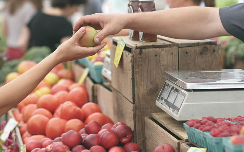 Programas gubernamentales sacan a 8.6 millones de mexicanos de la inseguridad alimentaria
