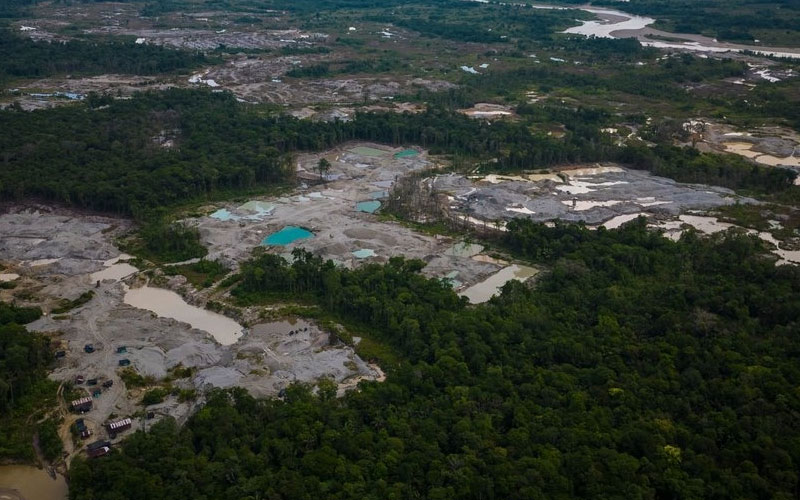 Operativo internacional deja 839 detenidos por delitos ambientales en la Amazonía