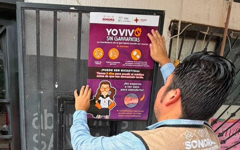 Salud Sonora refuerza prevención de rickettsia con fumigación y vigilancia de garrapatas