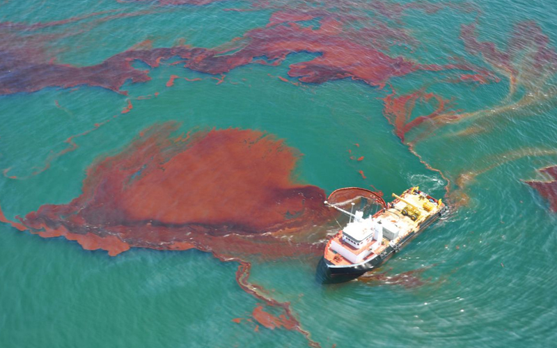 Derrame de Deepwater Horizon redujo hasta 63.5% la vida marina en el Golfo de México