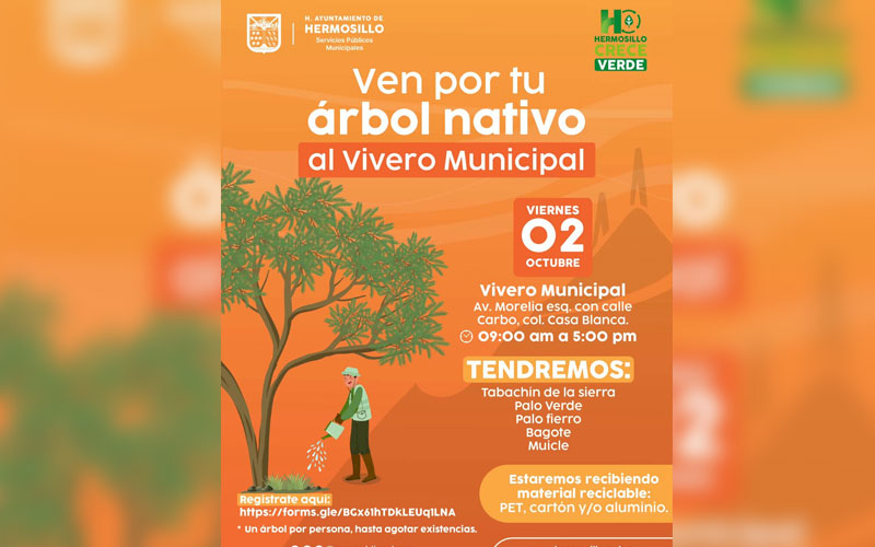  Invitan a recibir árboles nativos en Hermosillo