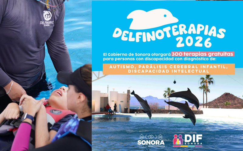DIF Sonora abre convocatoria para terapias asistidas con delfines