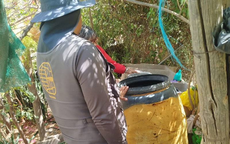 Llama Salud Sonora a eliminar criaderos de mosquitos tras las lluvias