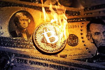 Mercado de criptomonedas pierde 200,000 mdd en 24 horas; Bitcoin, Ether y TerraUSD se desploman