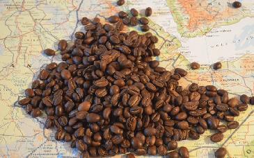 Trazan el origen del café arábica en Etiopía hace 600 mil años