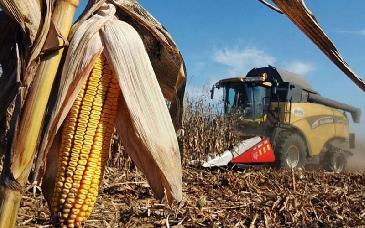 Fertilizantes lideran alza de precios de materias primas, reporta Banco Mundial