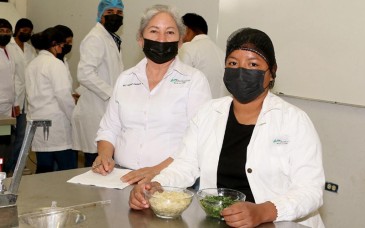 UTE investiga potencial alimentario de semillas de palo verde para crear productos innovadores